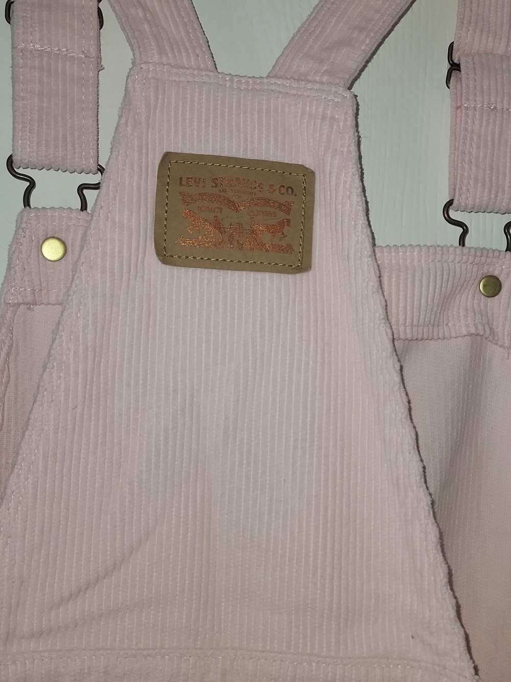 Levi's Light Pink Corduroy Kids Overalls with Leather Patch